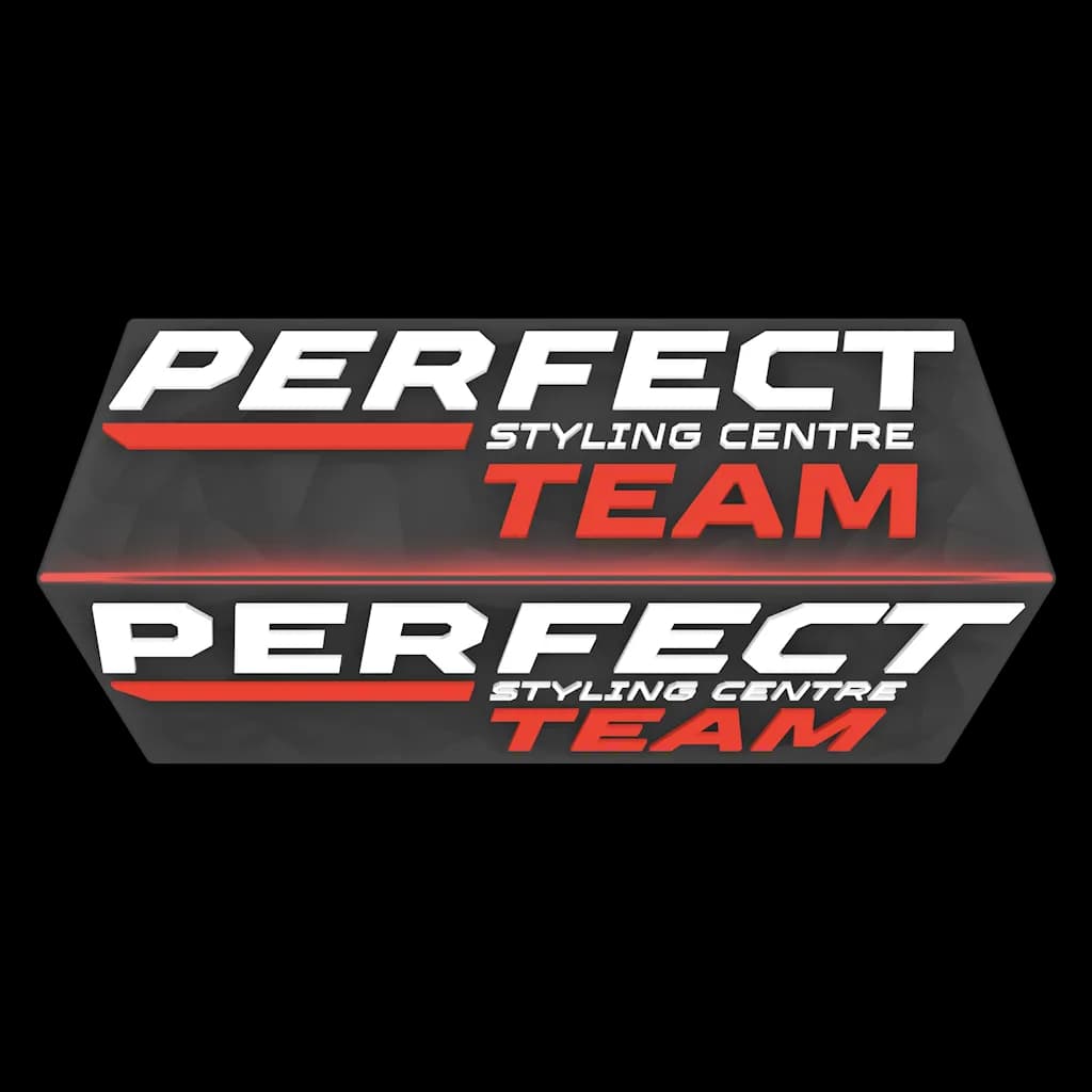 Perfect Team